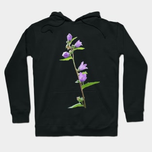 Bluebell Hoodie